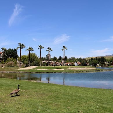 Canyon Lakes Golf Course - San Ramon