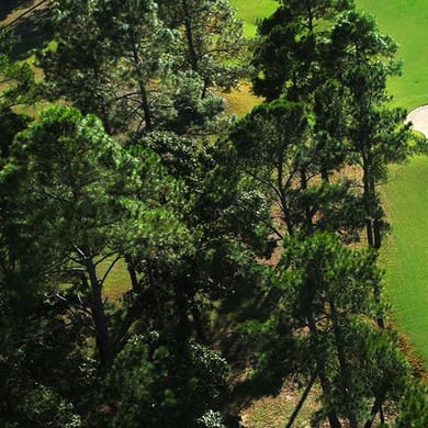 Carolina National Golf Club