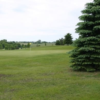Island Pine Golf Club