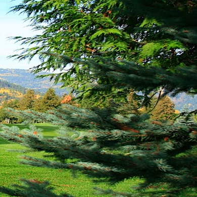 Champion Lakes Golf & Country Club