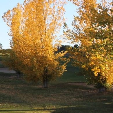 Aztec Municipal Golf Course
