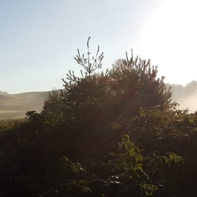 Muskoka Highlands Golf Club