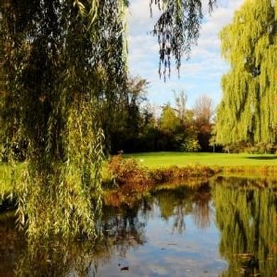 Madawaska Golf Course (Twisted Pines)