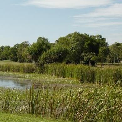 Palmerston Golf Course