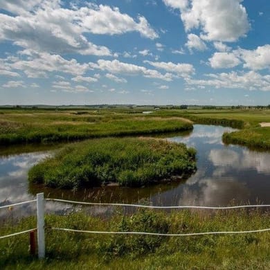 Collicutt Siding Golf Club