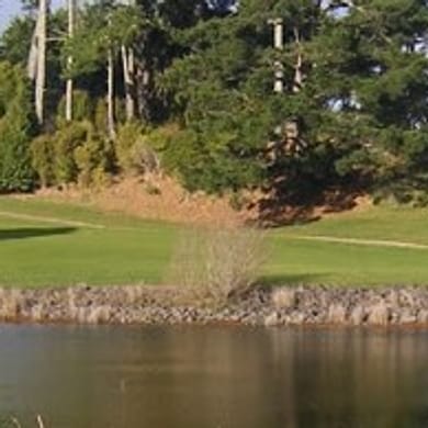 Onewhero Golf Club