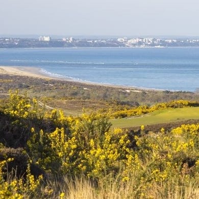 Isle of Purbeck Golf Club (Purbeck)