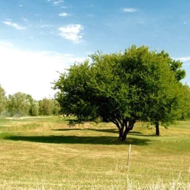 UGOLF Golf de Villenave d'Ornon