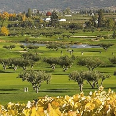 The Harvest Golf Club