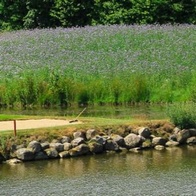 Golfclub Gut Waldshagen