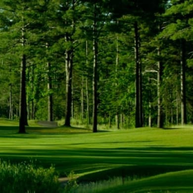 Golf Les Quatre Domaines (Parcours 1)