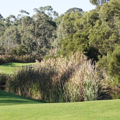 Berwick Montuna Golf Club