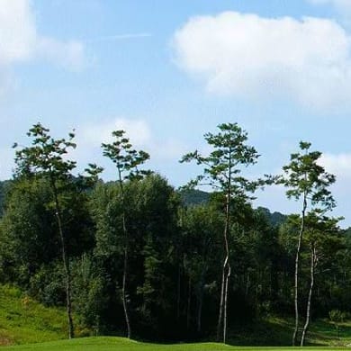 Hanmaek Country Club & Noblia