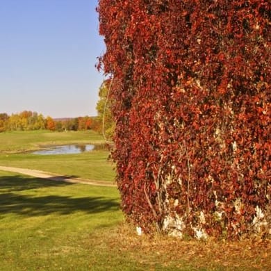 Indianhead Golf Course