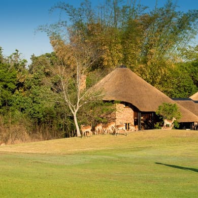 Kruger Park Lodge