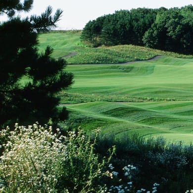 Wild Ridge Golf Course