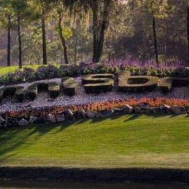 Innisbrook Resort (Copperhead)