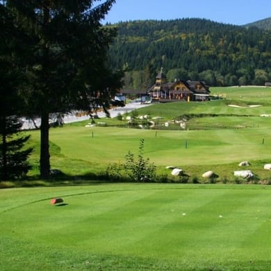 Tale Golf (Grey Bear)