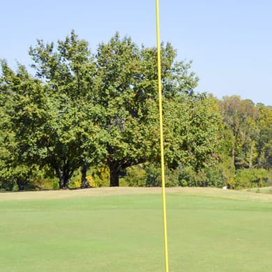 Candler Park Golf Course