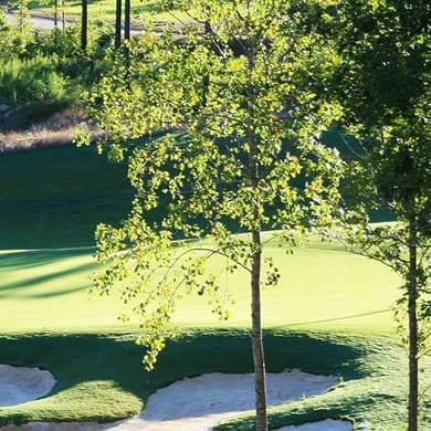 Golf Club at Chapel Ridge