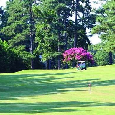 Raleigh Golf Association (Public)