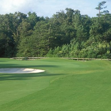 The Pointe Golf Club