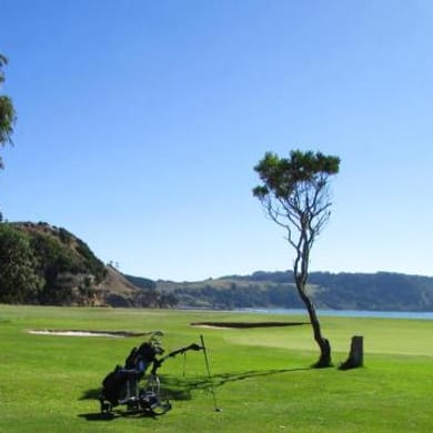 Wynyard Golf Club