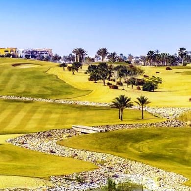 Palm Hills Golf Course