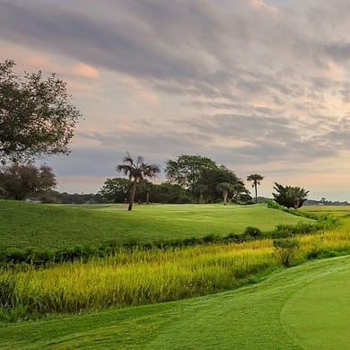 Patriots Point Links