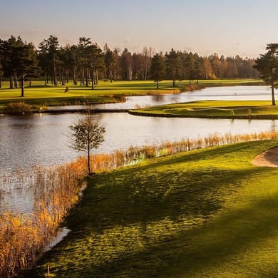 Niitvälja Golf (Park)