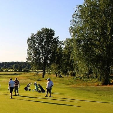 Aulanko Golf (Eversti)