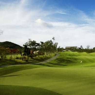 Golfzon County Ansung W