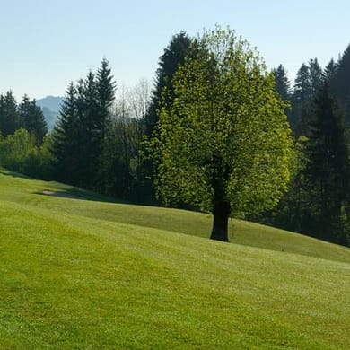 Golf Gonten Appenzeller (Kurzplatz)
