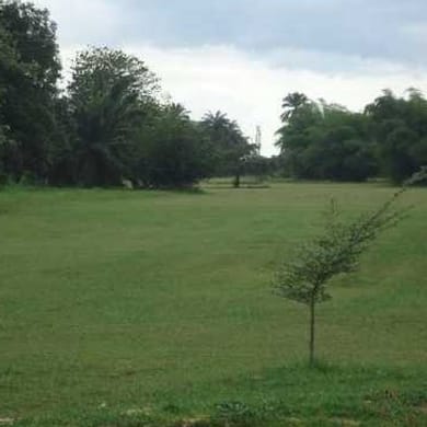 Ibori Golf & Country Club