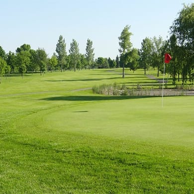 Pheasant Acres Golf Course