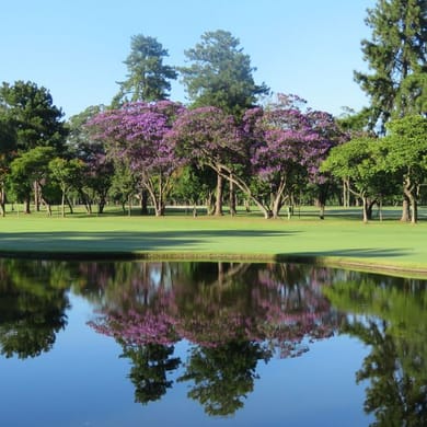 São Paulo Golf Club (Main)