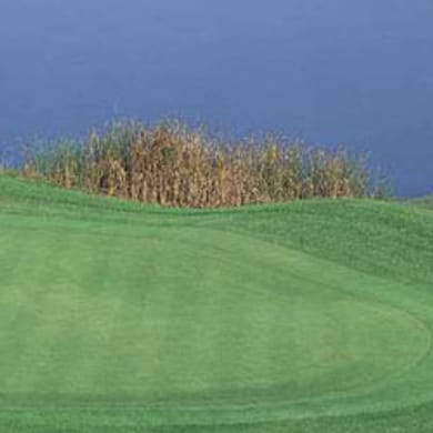 Bristow Manor Golf Club