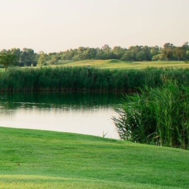 The Meadows Golf Club of Blue Island