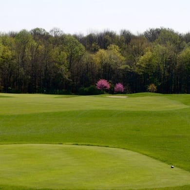 Eagle Creek Golf Course (Pines)