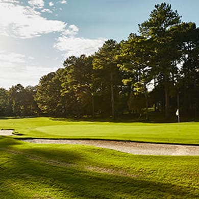 Canongate 1 Golf Club (Lee)