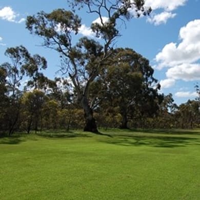Murtoa Golf Club