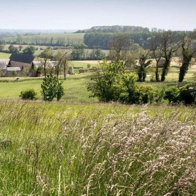 Golf d’Omaha Beach (Le Manoir)