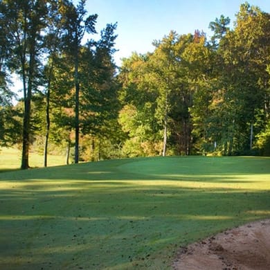 Brevofield Golf Links
