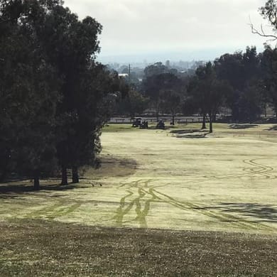 Denman Golf Club