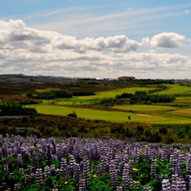 Golfklúbbur Kópavogs og Garðabæjar (Leirdalsvöllur)