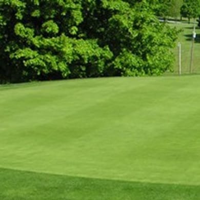 Mountain View Country Club