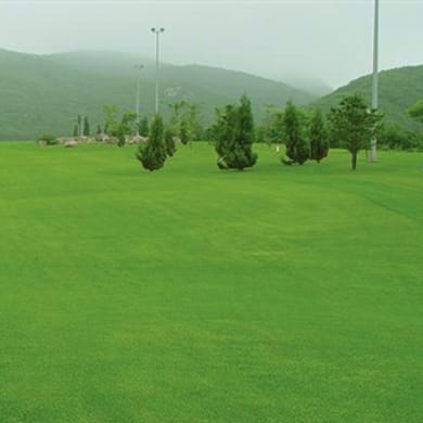 Dandong Wulong International Golf Club