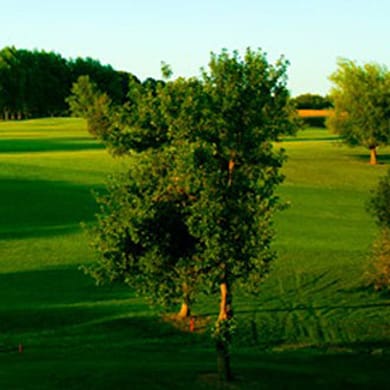 Oak Summit Golf Course