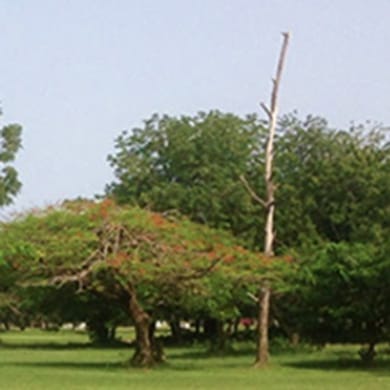 Golf Club Lomé