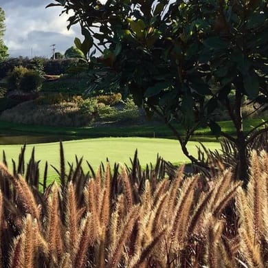 Club Los Lagartos (David Gutierrez)